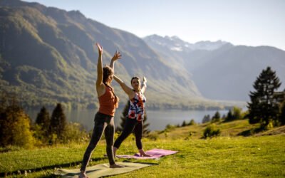 Review 2020 Yoga Online and Retreats