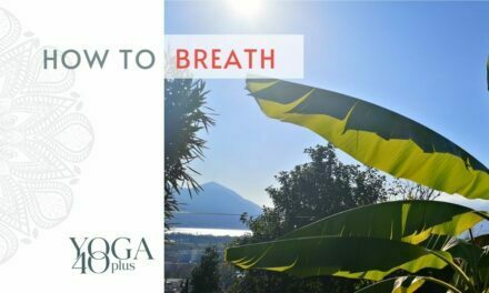 Wie die Atmung funktioniert und wie Atemübungen helfen
