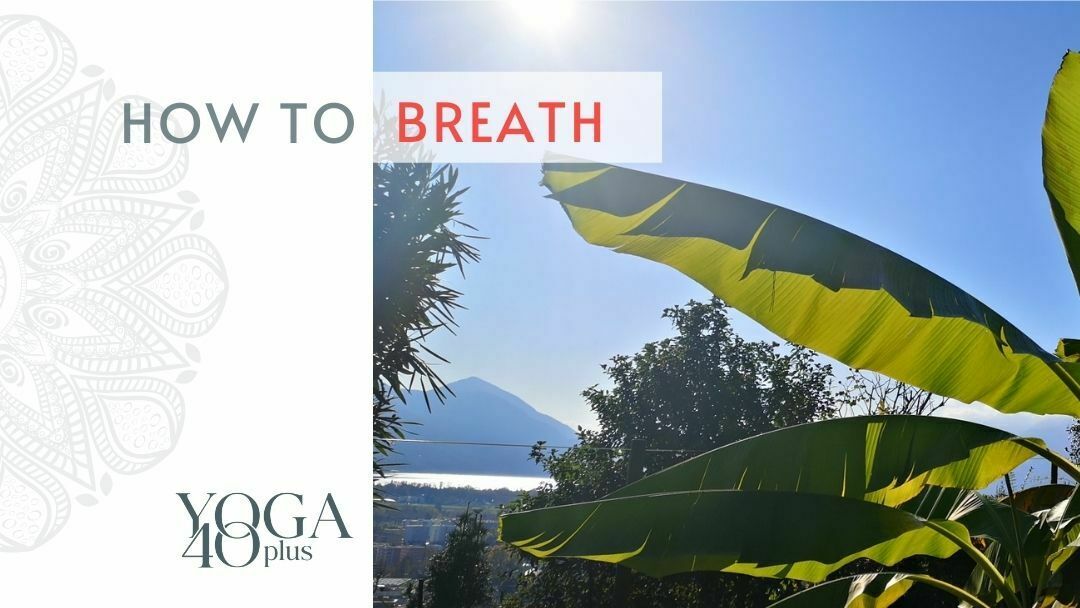 How Breathing Works and breathing exercises help