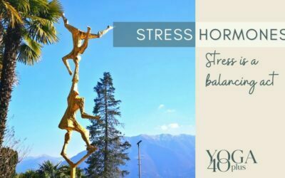 How stress hormones affect your body