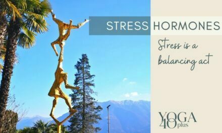 Wie Stresshormone sich auf den Körper auswirken