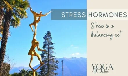 How stress hormones affect your body