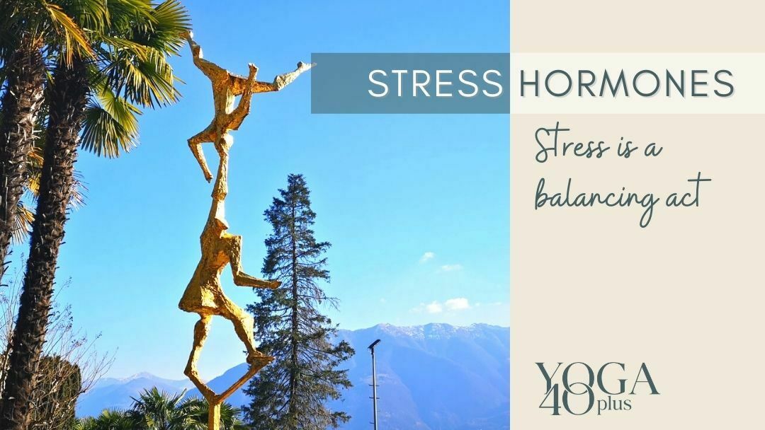 How stress hormones affect your body
