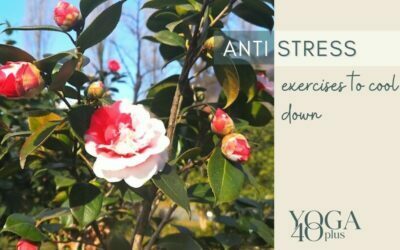 Anti-Stress-Übungen
