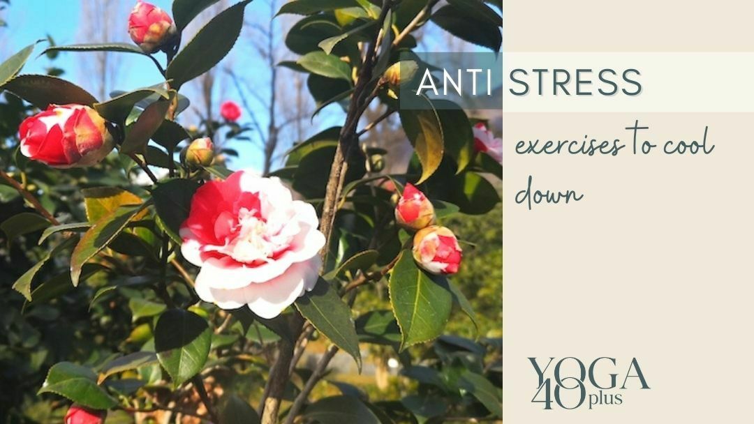 Anti-Stress-Übungen