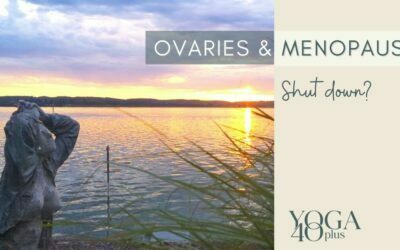Ovaries after menopause