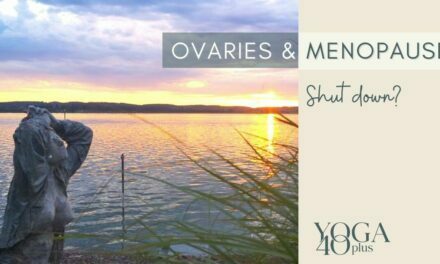Ovaries after menopause