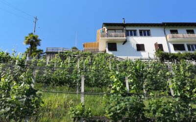 12 of 12 June 2022 Yoga Retreat in Ticino