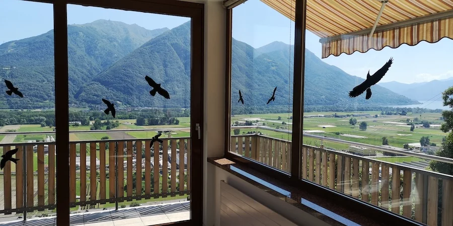 Ticino Panoroama aus dem Wohnzimmer Ticino Panoroama aus dem Wohnzimmer