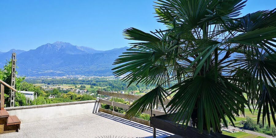Ticino Palm tree Yoga Retreat