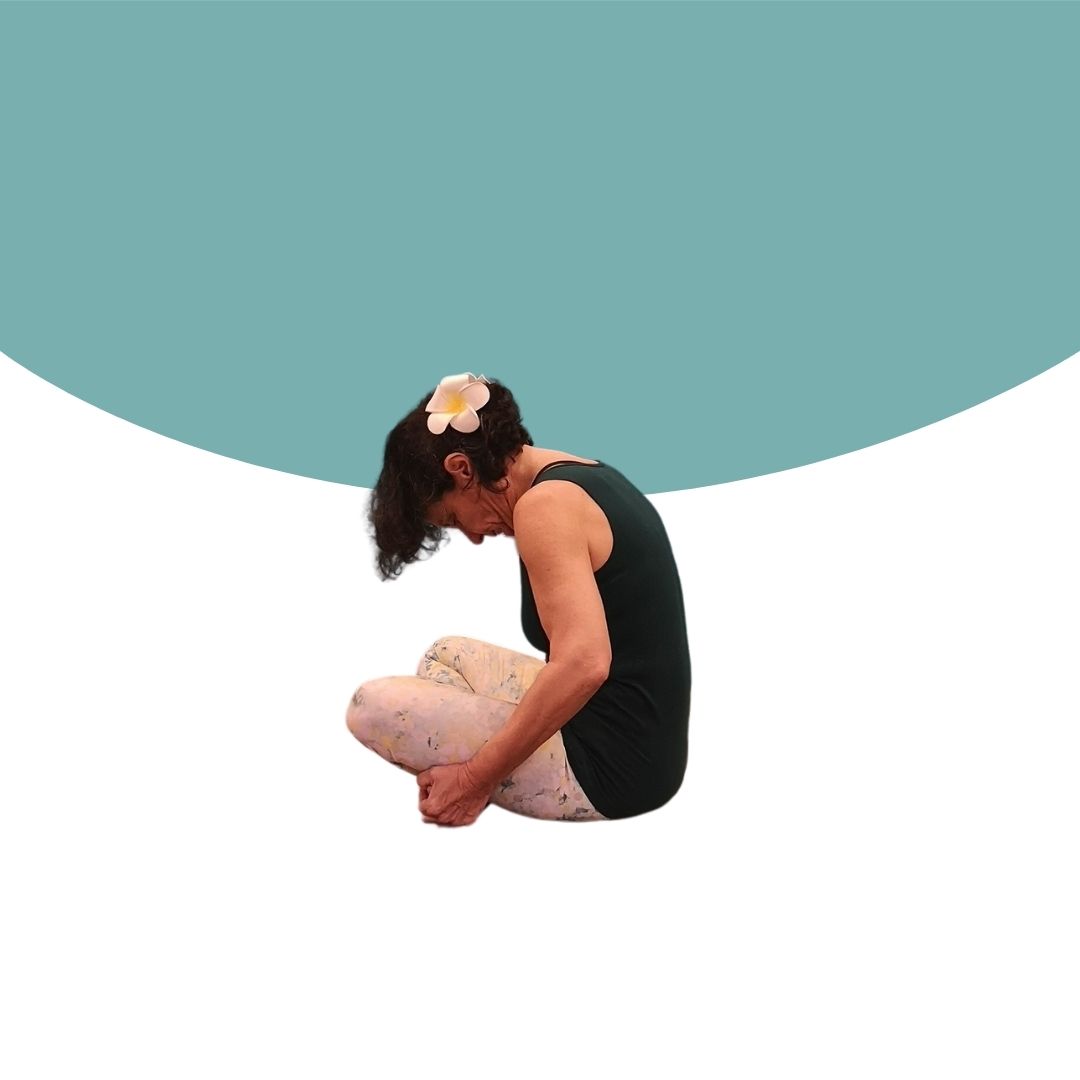 Sitzende Katze im Yoga