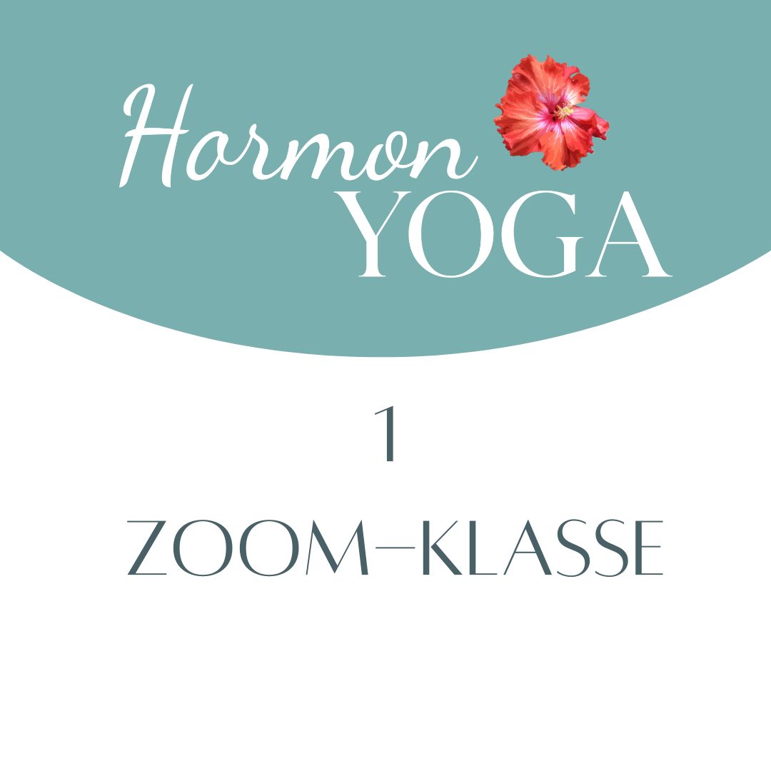 HY 1 Klasse Subscription