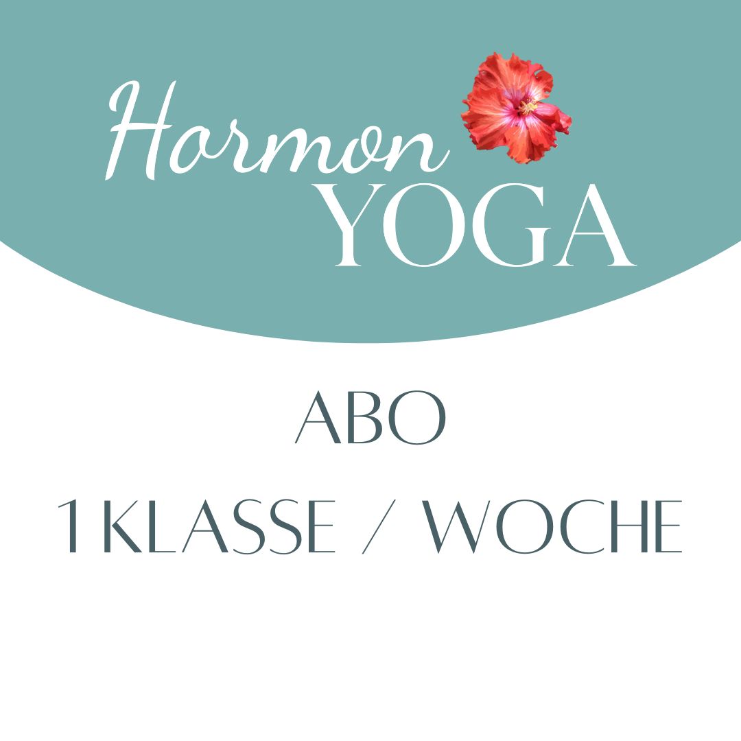 HY 1 Klasse Subscription