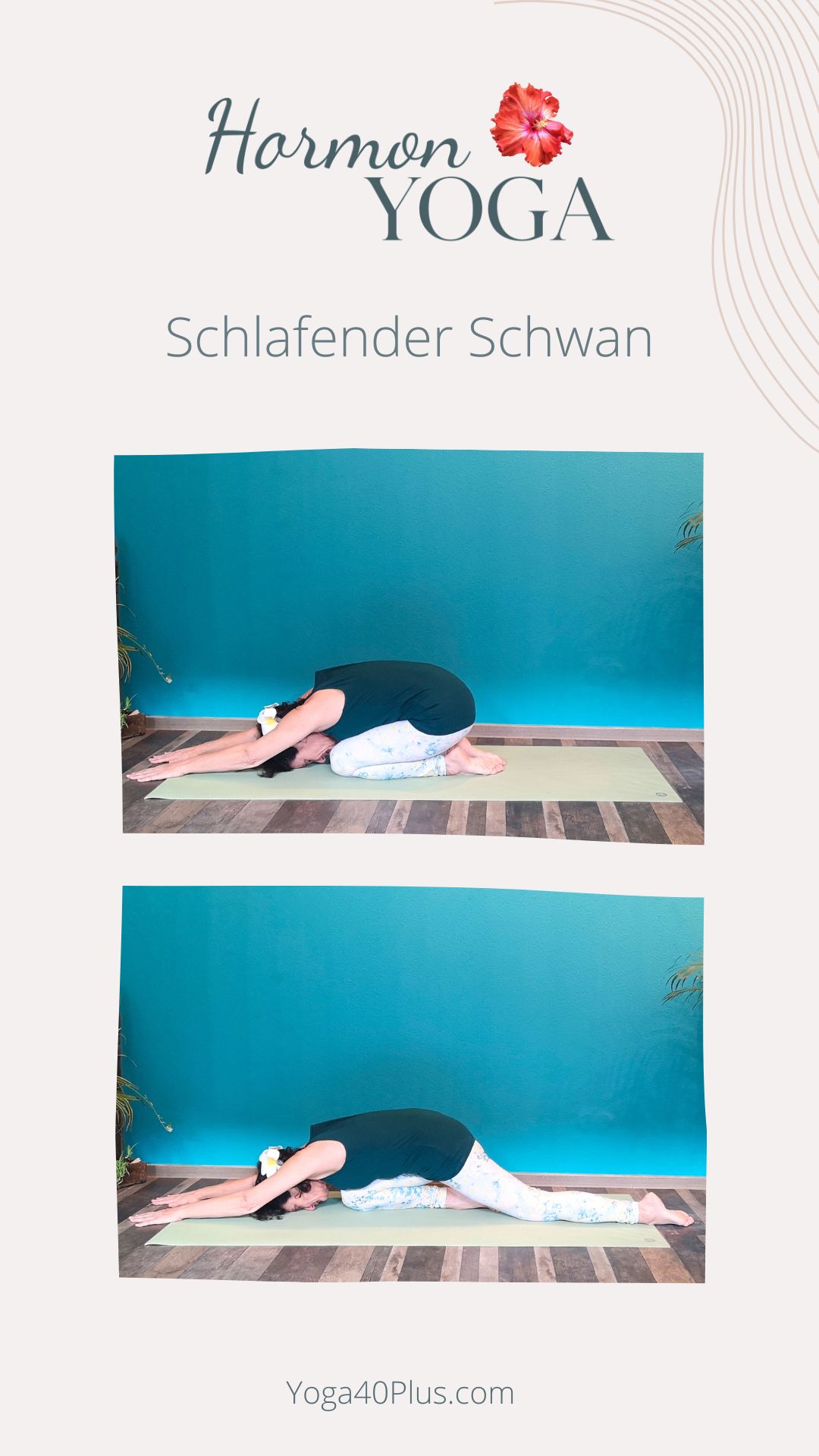 Schlafender Schwan Schlafender Schwan im Hormonyoga