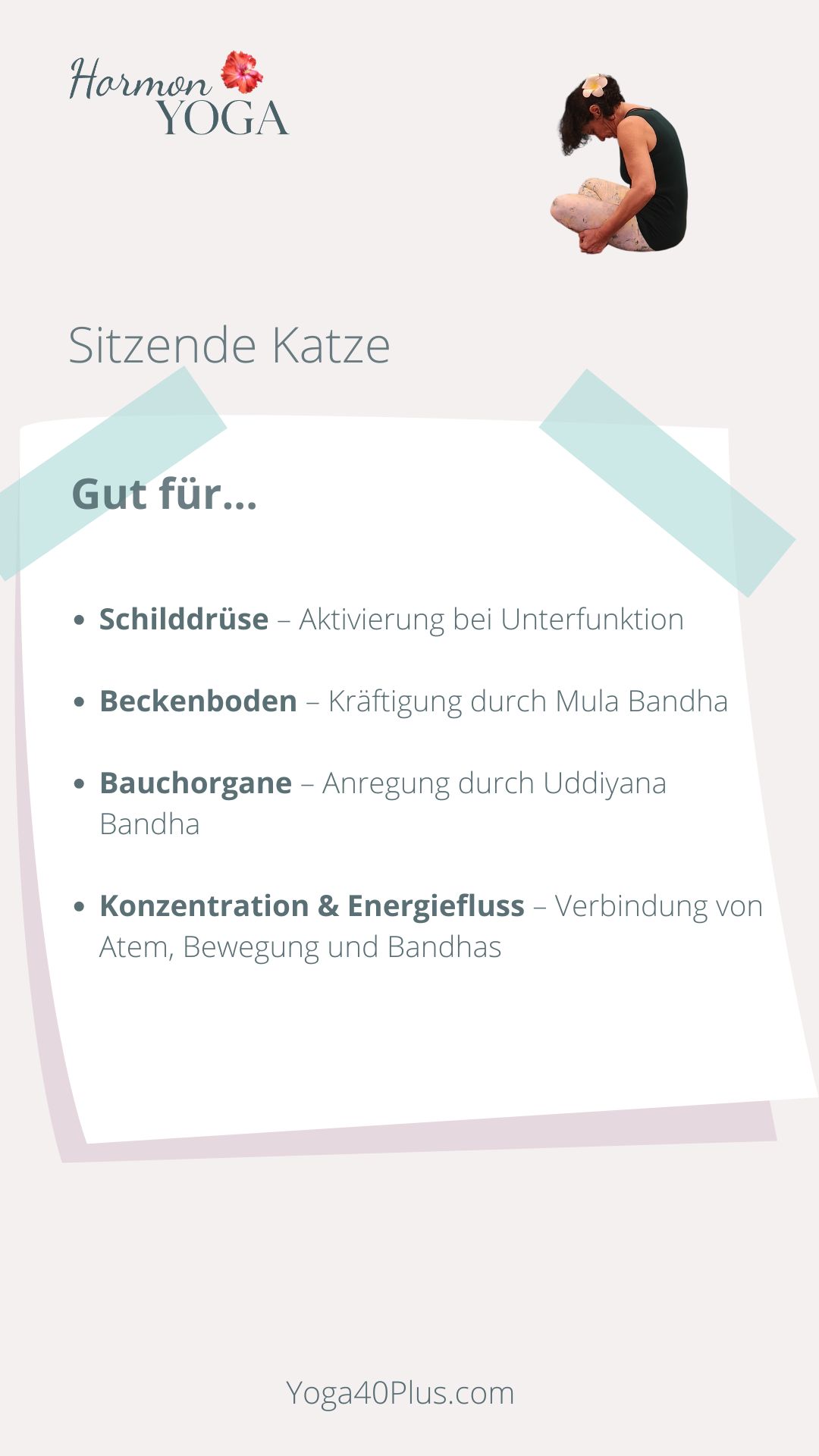 Sitzende Katze Benefits Sitzende Katze Benefits