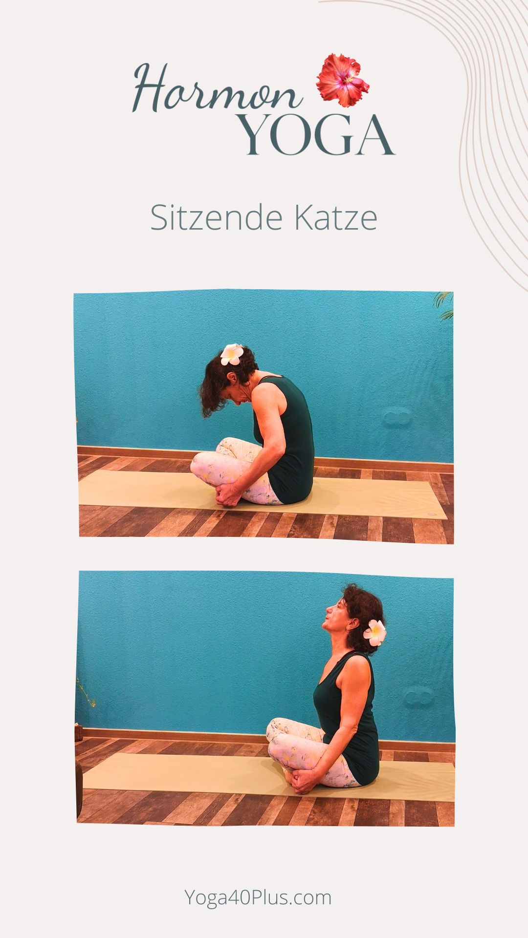 Sitzende Katze im Yoga Sitzende Katze Benefits